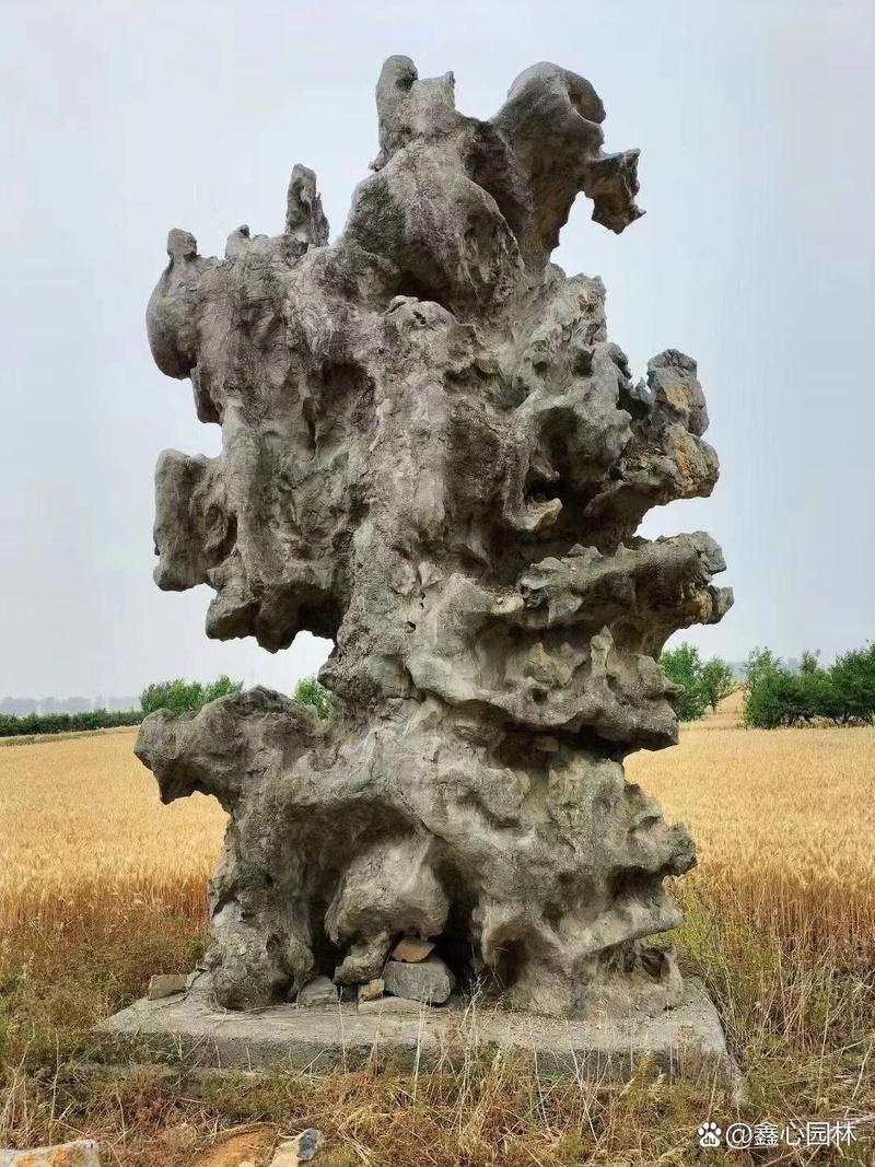 园林绿化工程 织就绿色未来的生态笔触