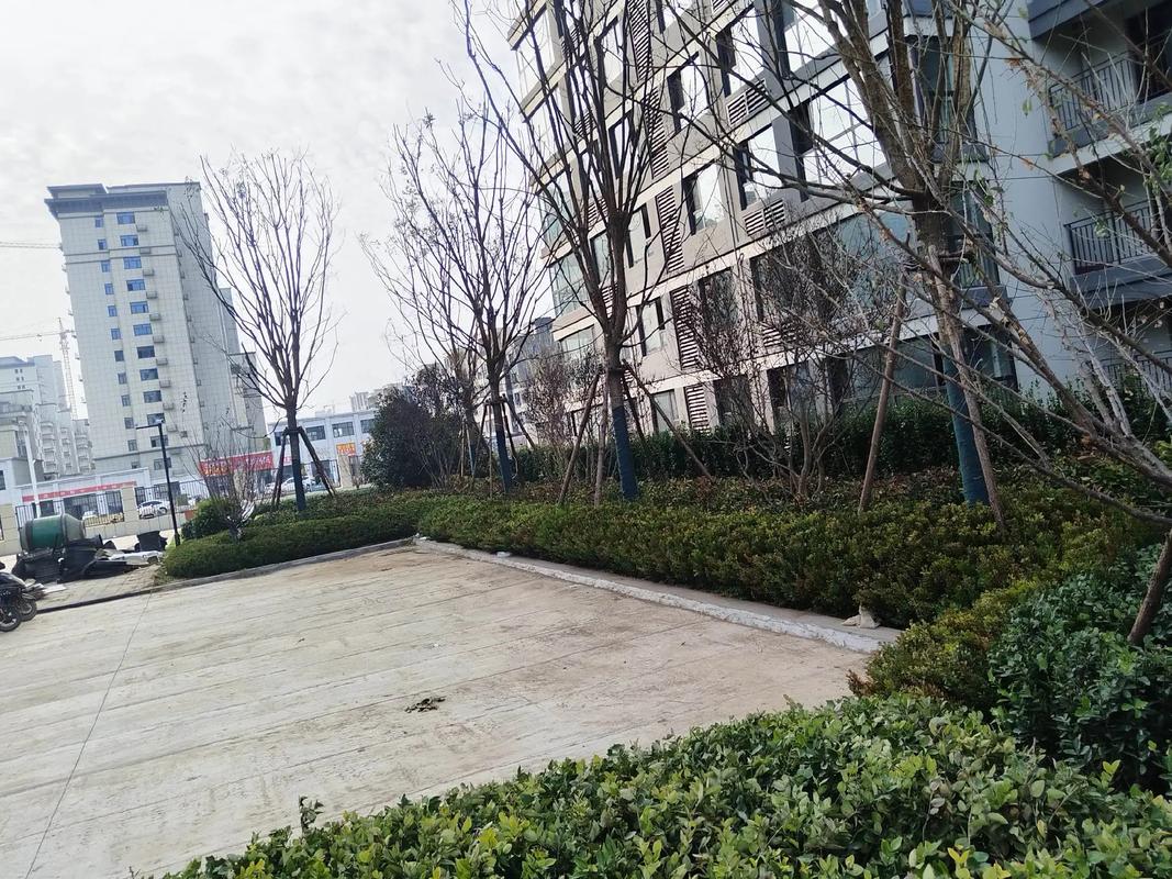 园林绿化工程 #记录工地上的点点滴滴 临近交房之际,却没有